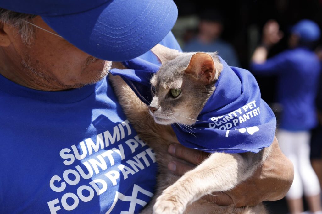 Summit Pet Food Pantry mascot, Hobbes the cat